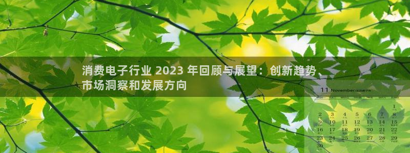 凯发K8国际首页|消费电子行业 2023 年回顾与展望：创新趋势、
市场洞察和发展方向